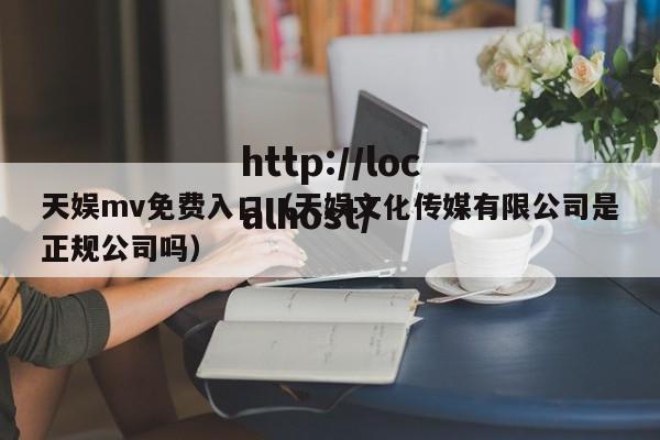 天娱mv免费入口（天娱文化传媒有限公司是正规公司吗）